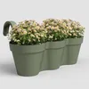 artevasi© CAPRI TRIPLE Balkonkasten Olivgrün 54 cm zum Produktbild-Vorschau 2