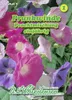 Prunkwinde PrachtMischung  | Windensamen von N.L. Produktbild-Vorschau 1