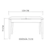 A line drawing of a table with dimensions indicated. Produktbild-Vorschau