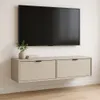A wall-mounted TV cabinet with two drawers, a TV mounted above it, and a small plant and books on top of the cabinet. Podgląd zdjęcia produktu