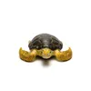 COLLECTA Schildpad Productafbeelding-voorbeeld 6