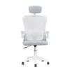 FORCE ONE Ergonomischer Bürostuhl X-OFFICE Drehstuhl | Produktbild-Vorschau 2