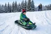 Hamax Sno Rex Green Skiboby Podgląd zdjęcia produktu 7