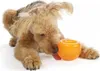 Planet Dog Snoop Orange Voir les images du produit 3