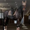 Eskadron Sella Dressage Pad Sparkle Jewel Platinum 2025 Anteprima dell’immagine prodotto 4