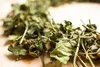 Jiaogulan / Gynostemma pentaphyllum / Kraut der Produktbild-Vorschau 4