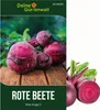 Rote Beete Rote Kugel 2 Samen - Beta vulgaris - Rübensamen Produktbild-Vorschau 1