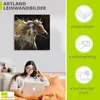 ARTland Leinwandbild Geisterpferd Größe: 40x40 cm Produktbild-Vorschau 2