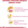 Royal Canin Maine Coon Kitten, Kocięta, Maine Coon, Drób, Podgląd zdjęcia produktu 8