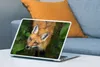 MuchoWow® Laptop Aufkleber Sticker Cover Fuchs - Grün - Produktbild-Vorschau 4