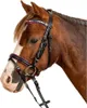 A close-up side profile of a brown horse wearing a black bridle with pink trim and colorful rhinestones. Produktbild-Vorschau