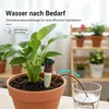 6 Stück Automatische Pflanzenbewässerung, Produktbild-Vorschau 4