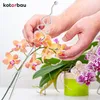 KOTARBAU® Lot de 6 supports de plantes Transparent PVC 55 Voir les images du produit 8