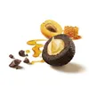 A chocolate truffle filled with cream, surrounded by honey, apricot, and chocolate pieces. Produktbild-Vorschau