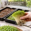 Samenshop24® Keimschalen (3 Stück), (Nur Keimschalen ohne Produktbild-Vorschau 7