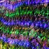 JOIEYOU LED Lichternetz 6x4m 480LEDs Lichterkettennetz Bunt Produktbild-Vorschau 6