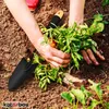 KOTARBAU® Mini Schaufel Stahl Blumenkelle Gartenschaufel Produktbild-Vorschau 6