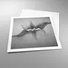Poster - Poster ohne Rahmen - Kuss Liebe Paar - 60x60 cm - Produktbild-Vorschau 3