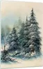 Bilder auf glas - Einteilig - Schnee Fichten Wald - Produktbild-Vorschau 1