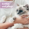 Felisept Fellpflegespray für Katzen 250ml Produktbild-Vorschau 4