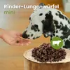 Rinder-Lungenwürfel, Mini 500g Produktbild-Vorschau 3