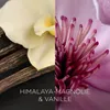 Air Wick Botanica Duftkerze Himalaya-Magnolie & Vanille, Produktbild-Vorschau 4