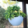 Hängender Blumenkorb, Hängender Wandblumentopf mit Produktbild-Vorschau 5