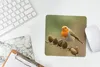MuchoWow® Mauspad Mousepad Vogel - Rotkehlchen - Produktbild-Vorschau 5
