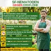 SF Nematoden gegen Erdflöhe - 10 Mio. für 20m² – Mittel Produktbild-Vorschau 4