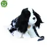Plüsch King Charles Spaniel mit Leine 27 cm Eco-f. Produktbild-Vorschau 8