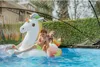 EXIT Poolabdeckung ø427cm - universell Produktbild-Vorschau 6