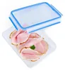 A transparent food storage container with a blue lid, filled with slices of ham. Anteprima dell’immagine prodotto