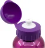 Paw Patrol Skye Everest Kinder Alu Wasserflasche Produktbild-Vorschau 3
