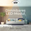 A living room scene with a sofa, plant, and lamp, featuring a ceiling fan with light. Produktbild-Vorschau