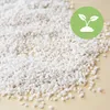 Perlite Grob ca. 10 Liter – Natürliches Vulkangestein zur Produktbild-Vorschau 2