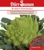 Dürr-Samen - Brokkoli Romanesco - Saatgut - 0516 Produktbild-Vorschau 3