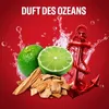Old Spice, el pod prysznic Captain 3w1, 1000ml Podgląd zdjęcia produktu 2