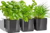 LECHUZA Green Wall Home Kit Glossy, Sadzarka w doniczce, Do Podgląd zdjęcia produktu 8