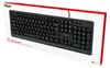 Trust Primo, Pełnowymiarowy (100%), Przewodowa, USB, Podgląd zdjęcia produktu 2