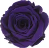 Infinity Rose L Ø5cm konserviert stabilisiert haltbar Produktbild-Vorschau 1