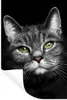 MuchoWow® Wandtattoo Wandsticker Wandaufkleber Haustiere - Produktbild-Vorschau 1