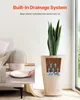 A snake plant in a beige planter with a diagram illustrating its drainage system, placed next to a sofa. Voir les images du produit