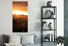 MuchoWow® Poster Sonnenuntergang über den Mohnblumen in Produktbild-Vorschau 4