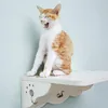 CatS Design Kletterwand große Katzen stabil Wandkratzbaum Produktbild-Vorschau 6