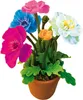 Lisciani The Moon Academy - Fleurs de lune Voir les images du produit 7