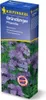 KIEPENKERL Gründünger Phacelia 0,4kg Produktbild-Vorschau 3