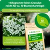 Purgrün Blumenhartriegel-Dünger 1 kg Produktbild-Vorschau 4