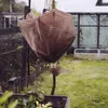 Non-tissé de protection pour rosiers (3 pièces) | Voir les images du produit 2
