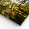 Bild auf Leinwand - Leinwandbild - Wald Baum Natur - Produktbild-Vorschau 5