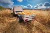 A white van is parked in a field of dry grass, pulling a small trailer filled with pumpkins. Produktbild-Vorschau
